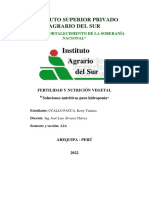 A2A Ketty Ccallo Soluciones Nutritivas para Hidroponía