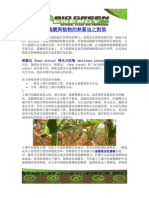 XXL 腐植酸與植物的熱緊迫之對策 (繁體P4)