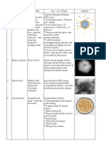 Jenis - Jenis Virus