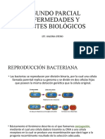 Reproducción bacteriana, transferencia de ADN y mecanismos de patogenicidad