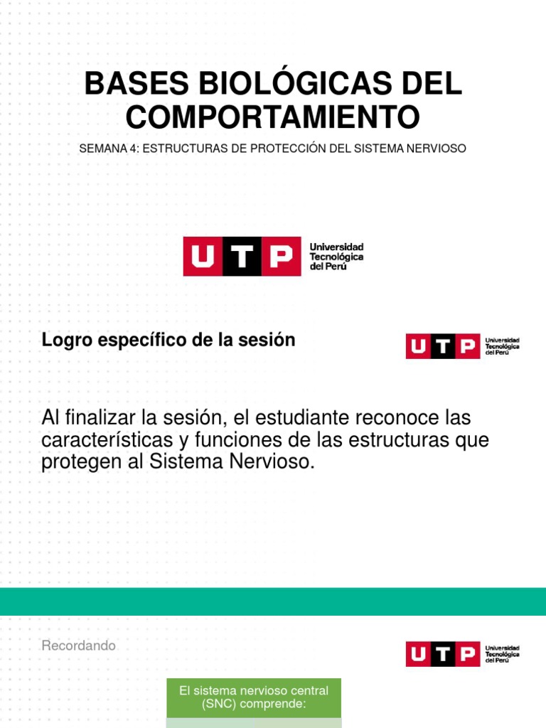 Aazon.co: Ayhes - Refrigerante Para PC - Ultra Pure H2O - Alta