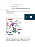 Bio - 15. Tugas Pendalaman Materi Gen PDF
