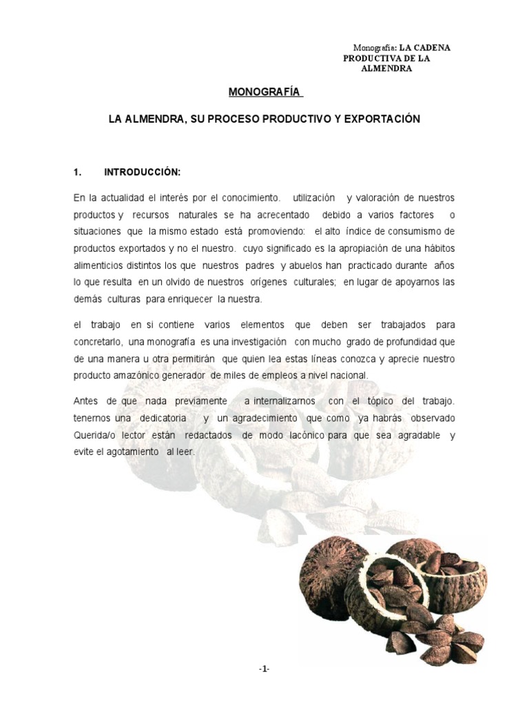La Castaña Su Proces y Exportacion | PDF | Nuez | Bolivia