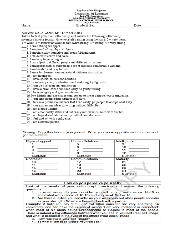 self concept inventory essay