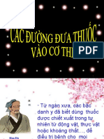 Cac Duong Dua Thuoc Vao Co The Cam
