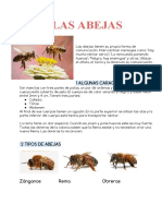 Comunicación de Las Abejas