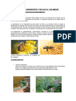 Concienciación Medioambiental 1º D (Español e Inglés)