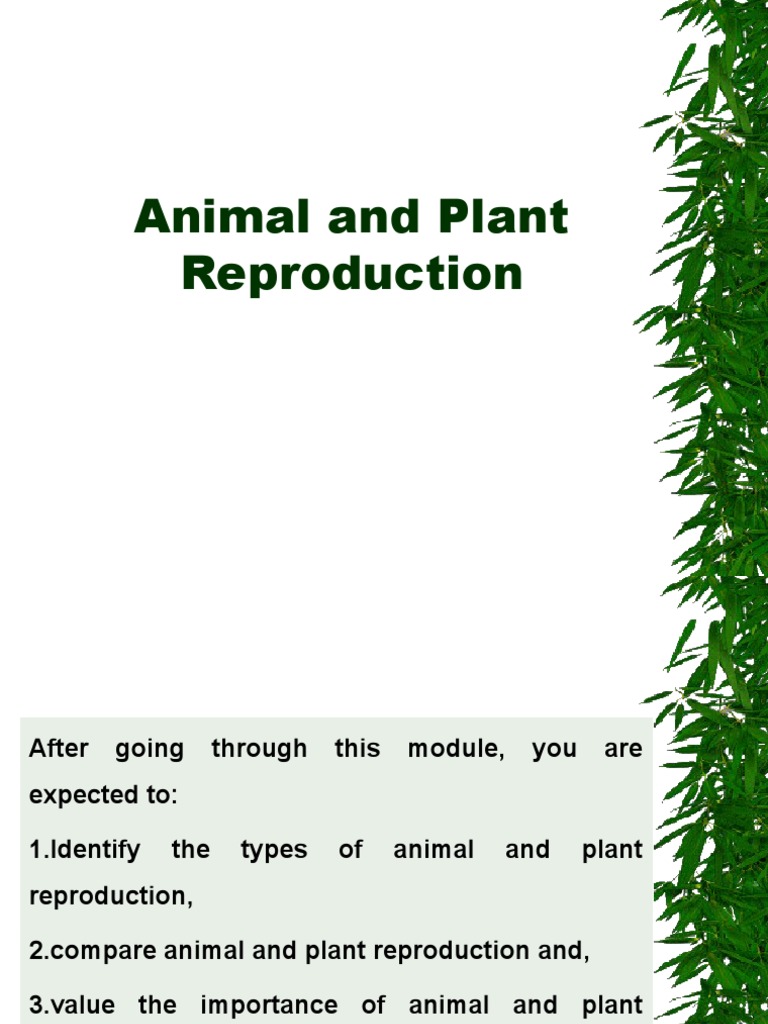Plant and Animal Reproduction Overview | PDF | Reproduction | Flowers