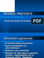 Vdocuments - MX - Regnul Protista 569fc03758a4d