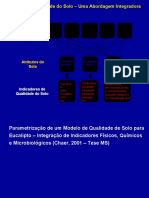 Parametrizacaoe Aplicacaodeummodelode Qualidadedo Solopara Eucalipto