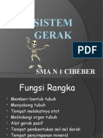 Sistem Gerak 