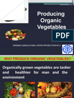 Produce Organic Vegetables Updated