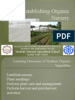 Establishing Organic Nursery