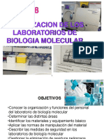 Tema 8 Organizacion de Los Lab de Bio Molecular