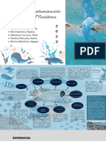 ACTIVIDADES V MAPA MENTAL 