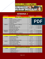 Programa 4 Semanas II