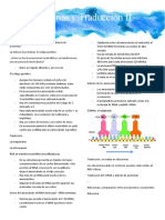 Proteínas y Traducción II: La síntesis de proteínas en el ribosoma