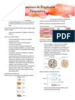 C8. Mecanismos de Regulación