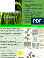 Procesos Fisiológicos de La Planta