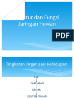 STRUKTUR_DAN_FUNGSI_JARINGAN_HEWAN_ppt