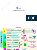 Reacciones de Hipersensibilidad Mapa Conceptual 328571 Downloable 2018883