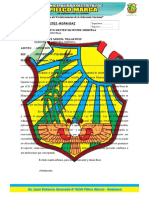 Informe #078 MCPP - Facultad Que Tiene Lamunicipalidad Del Centro Poblado