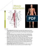 Sistem Musculoskeletal