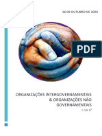 Organizações Intergovernamentais e Não Governamentais 