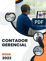 Informe Del Contador Gerente - Grupo 3