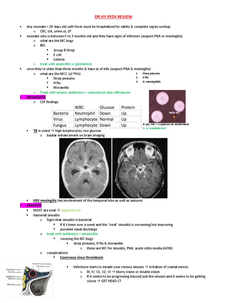 Dr. HY Peds Shelf Parts 1 & 2 PDF Knee Heart