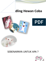 Handling Hewan Coba D Lab