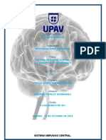 Tratamiento Psicopedagógico