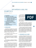 CAPÍTULO XII Cirugia ortopedica del pD