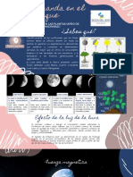 Ficha Ambiental 16. Influencia de La Luna en La Madera y Su Duración en El Tiempo.