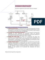 TA3-Sistema Endocrino-Andrea Socualaya Perales
