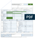 Formato 210 Renta Naturales