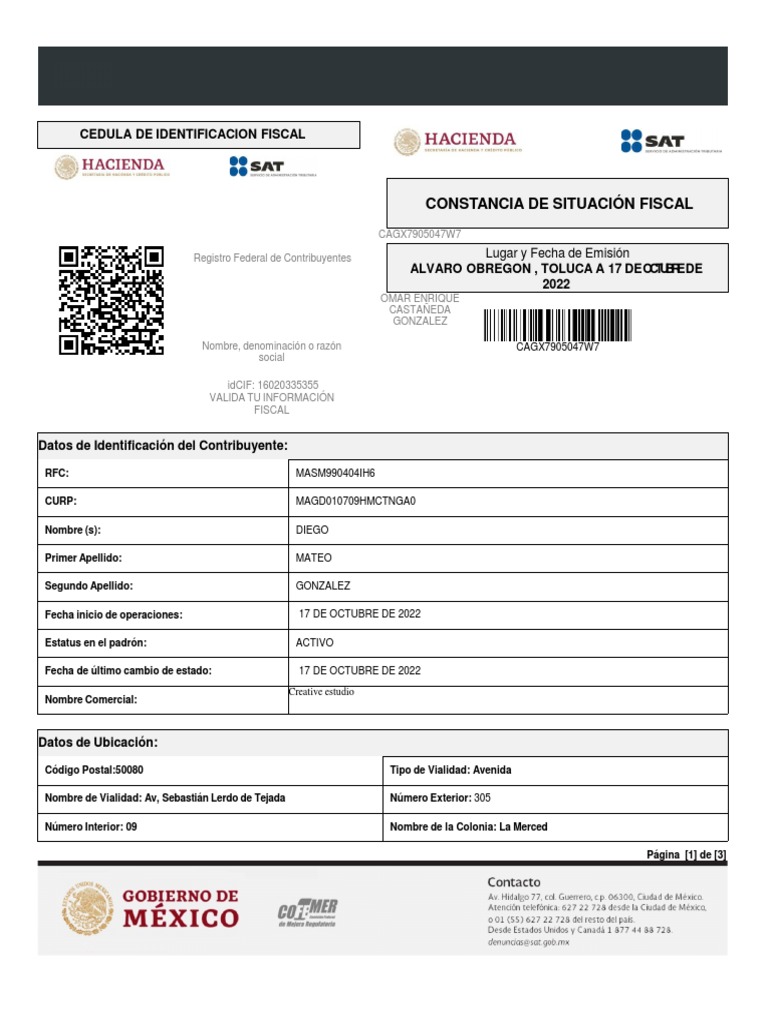 Formato de Alta en Hacienda 2022 | PDF | Gobierno