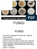 Pertemuan 5. Morfologi Dan Struktur Sel Fungi