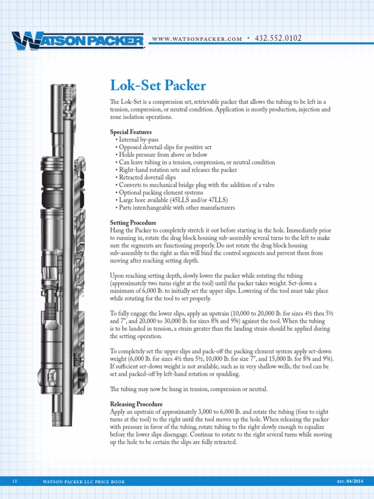 LokSet Packer PDF Pipe (Fluid Conveyance) Chemical Engineering