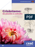 Crisantemo Cead
