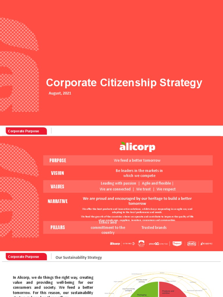 Corporate Citizenship Strategy Ztesf08 | PDF | Sustainability | Supply