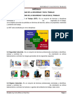 Cap. 3 Disciplinas de La SST