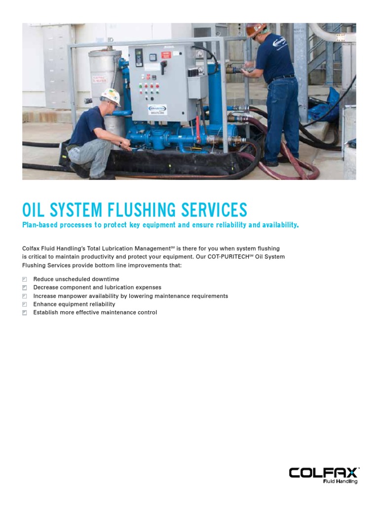 Oil System Flushing Services PDF Lubricant Bearing (Mechanical)