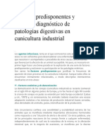 Factores Predisponentes y Abordaje Diagnóstico de Patologías Digestivas en Cunicultura Industrial