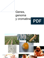 1_Genes, Genomas y Cromatina