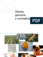 1 - Genes, Genomas y Cromatina