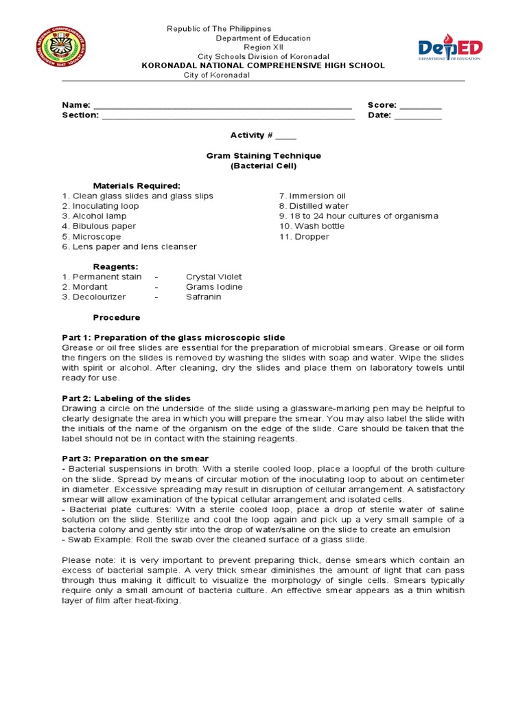 Gram Staining Technique Bacterial Cell Download Free PDF Staining