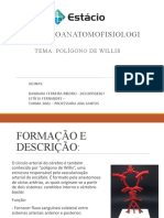 Neuroanatomofisiologia PW