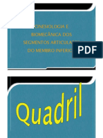 Aula PPT - BiomecÃ Nica e Cinesiologia Dos Membro Inferiores