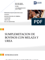 Exposicion - Sumplemetacion de Bovinos Con Melaza y Urea .